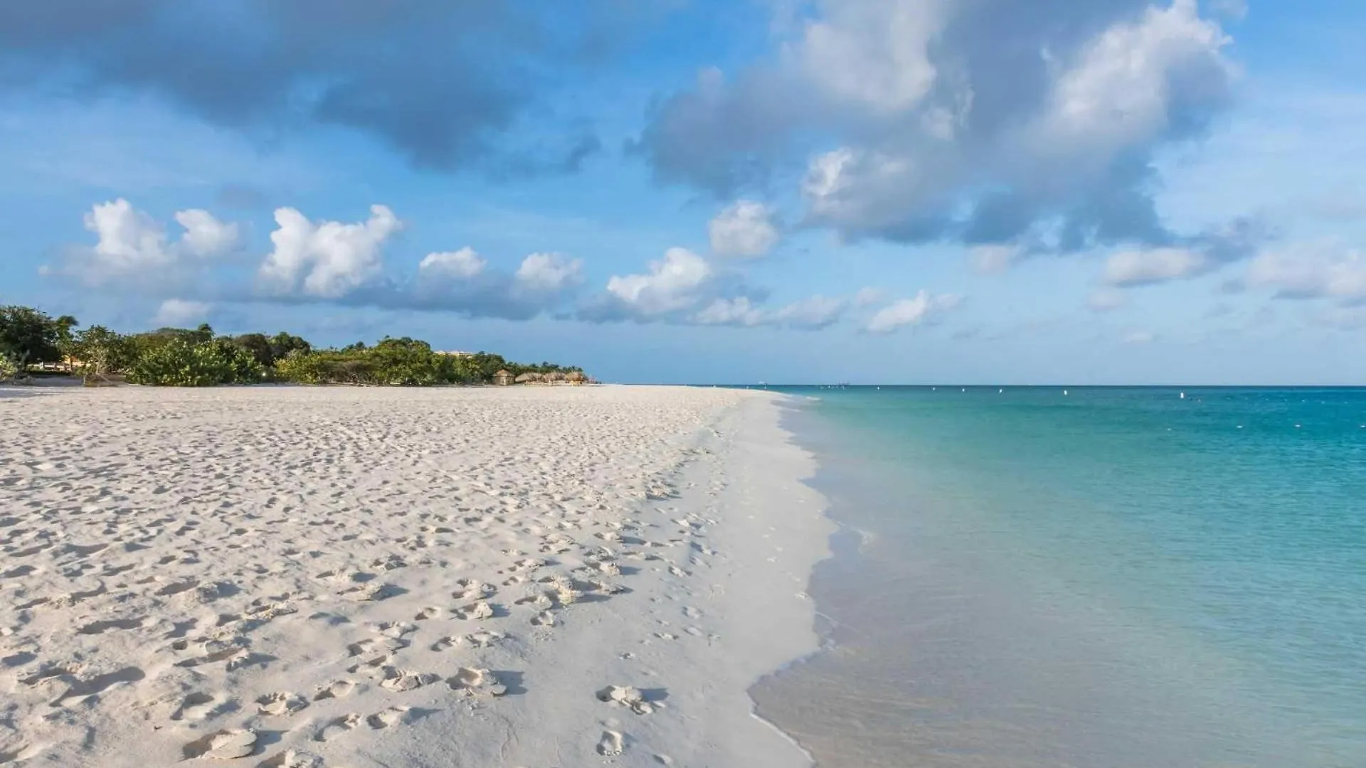 Beachfront - Emerald View 1Br Condo - P314 Palm Beach