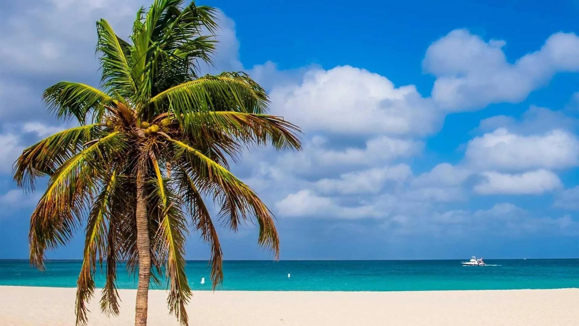 Casa de Férias Beachfront - Emerald View 1Br Condo - P314 Palm Beach