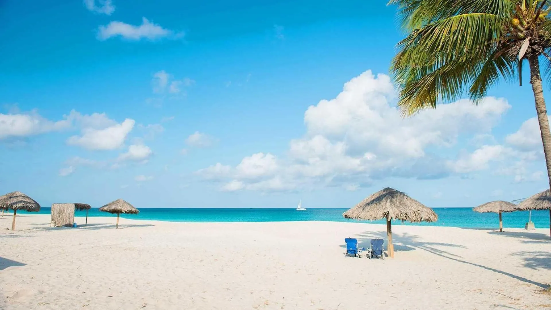 Beachfront - Emerald View 1Br Condo - P314 Palm Beach 0*,  Aruba