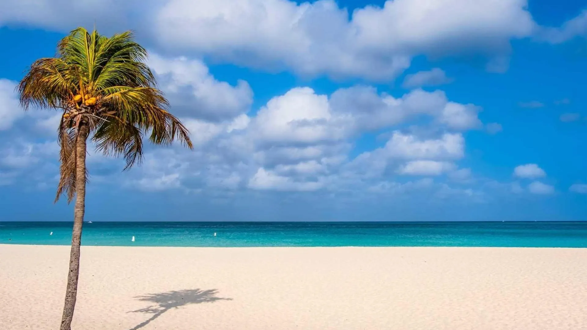Semesterbostad Beachfront - Emerald View 1Br Condo - P314 Palm Beach