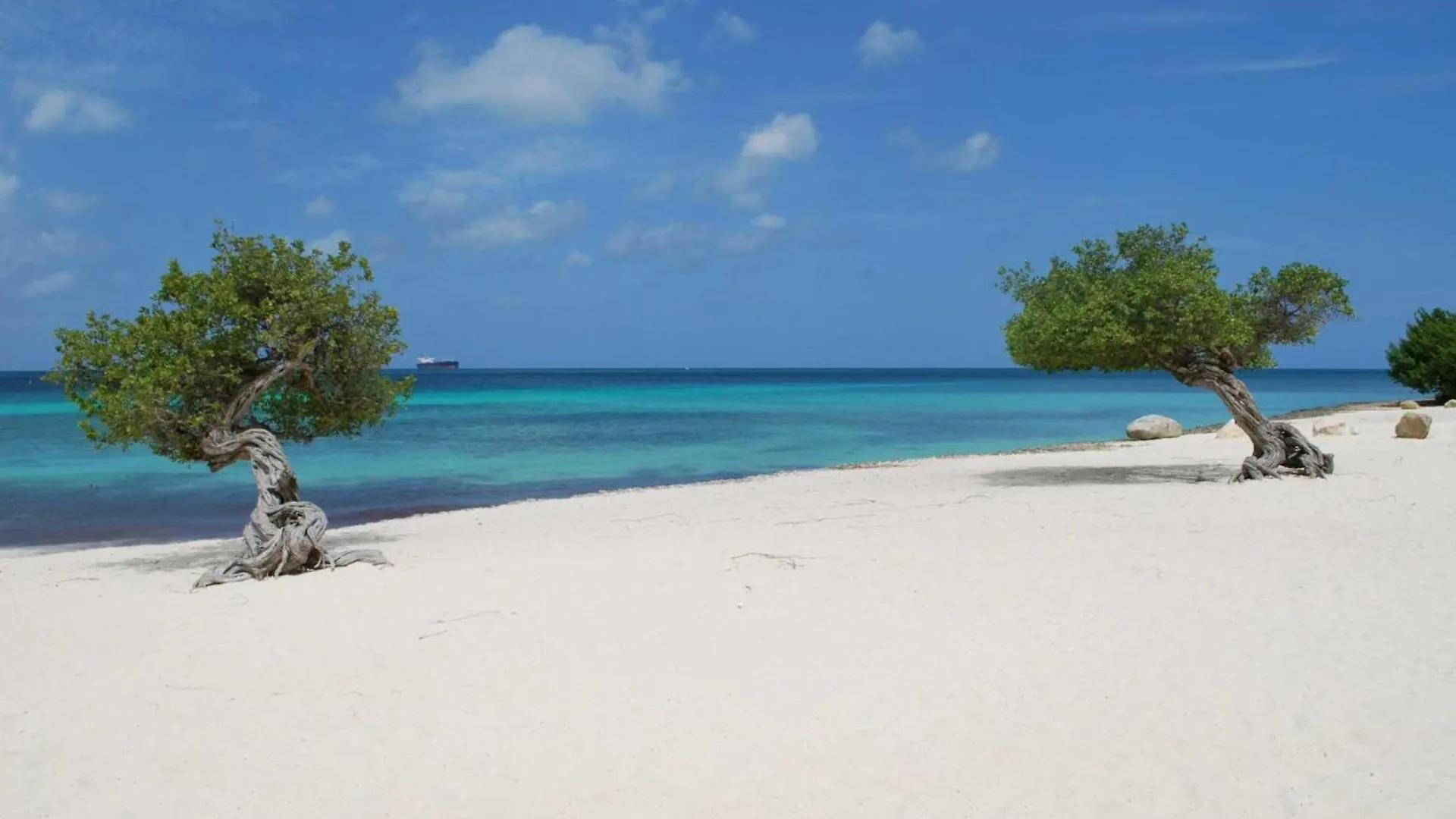 Beachfront - Emerald View 1Br Condo - P314 Palm Beach Semesterbostad