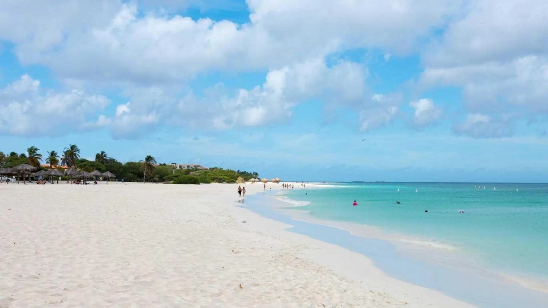 Beachfront - Emerald View 1Br Condo - P314 Palm Beach
