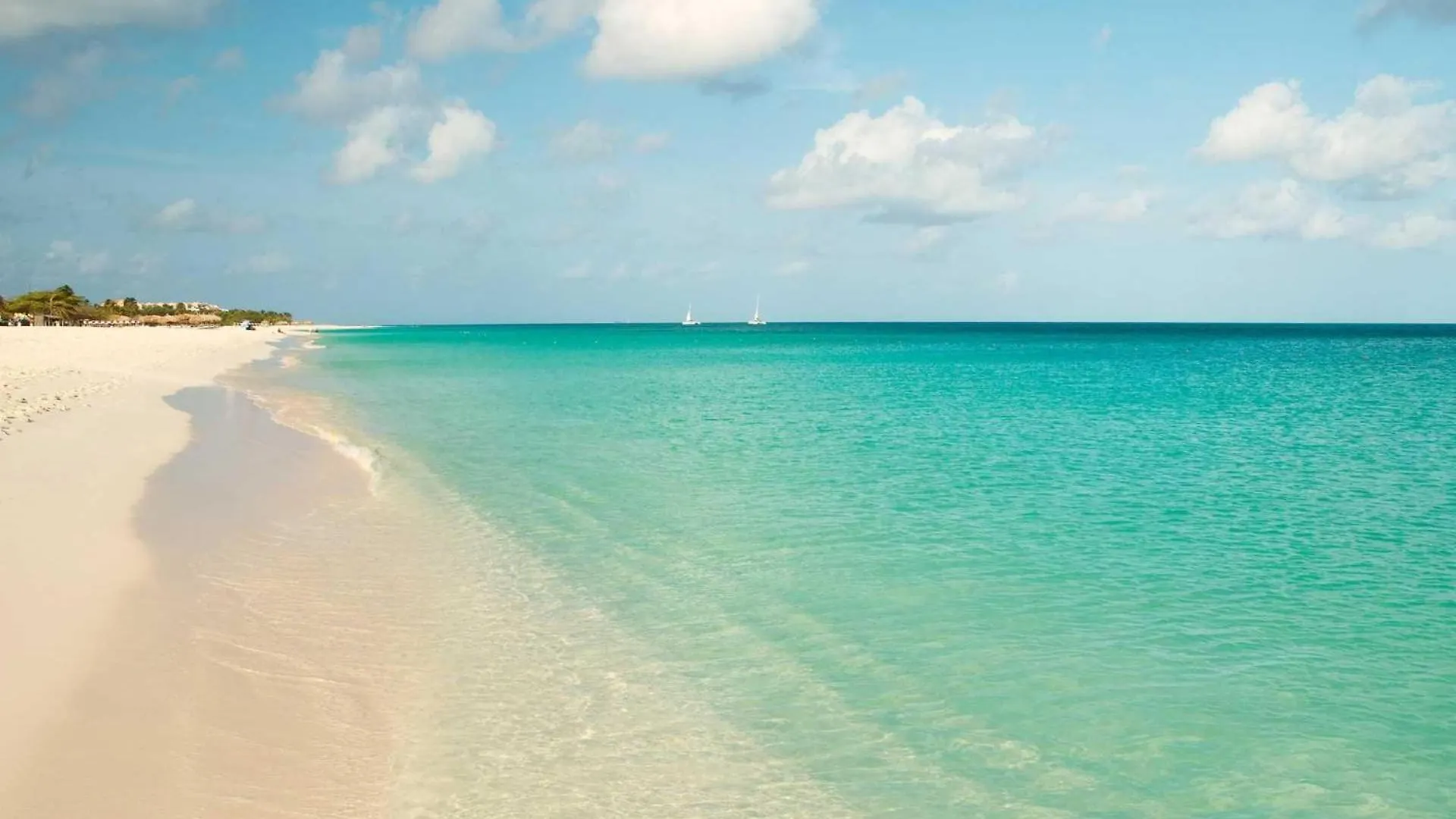 Beachfront - Emerald View 1Br Condo - P314 Palm Beach 0*,